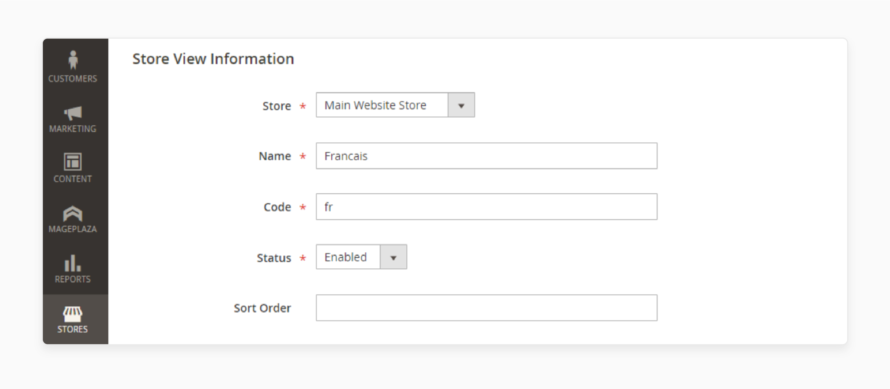 Input details for a new Magento store view