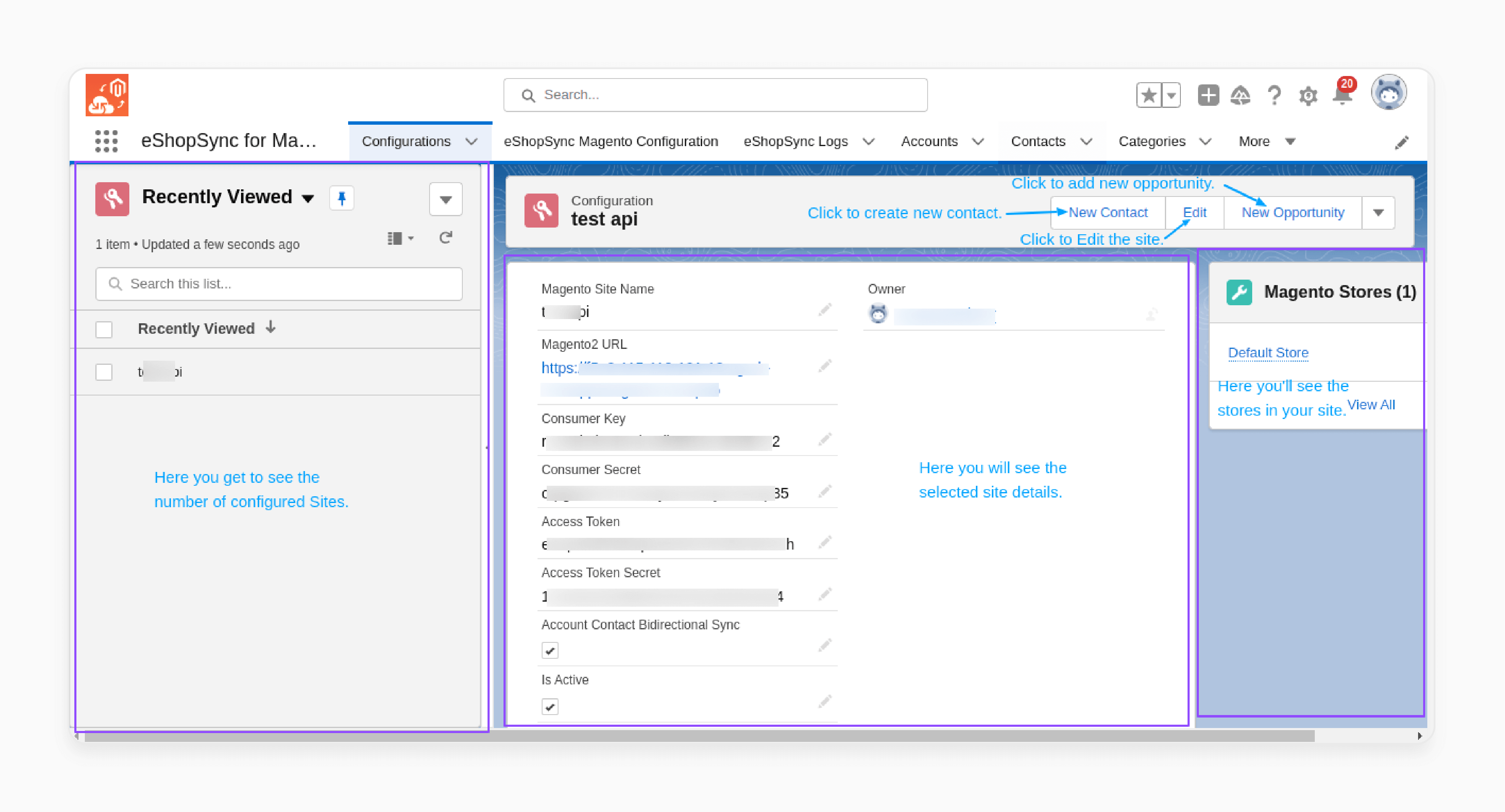 split view of Salesforce Magento 2 connector