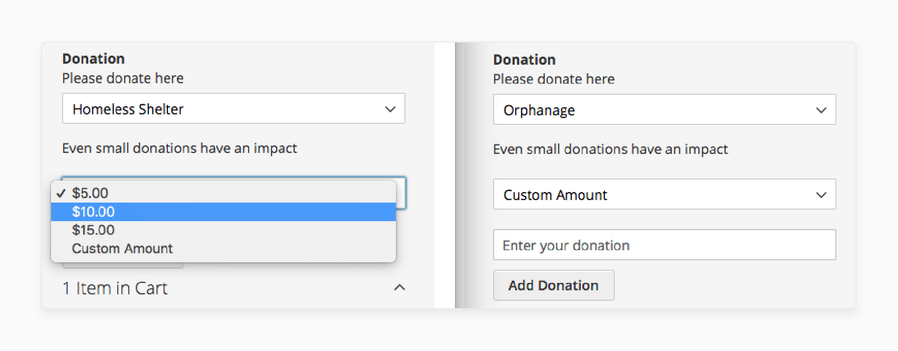 Customizable options in the Magento 2 donation extension