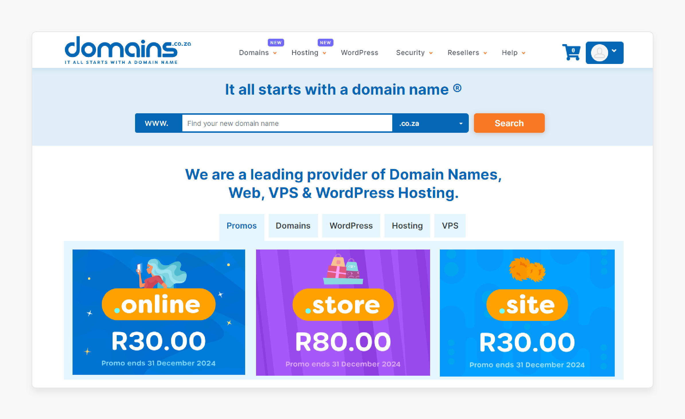 Domains hosting with SSL for ecommerce sites