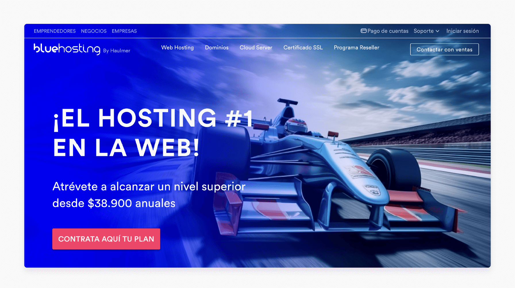 Bluehosting Chile offering user-friendly hosting experiences