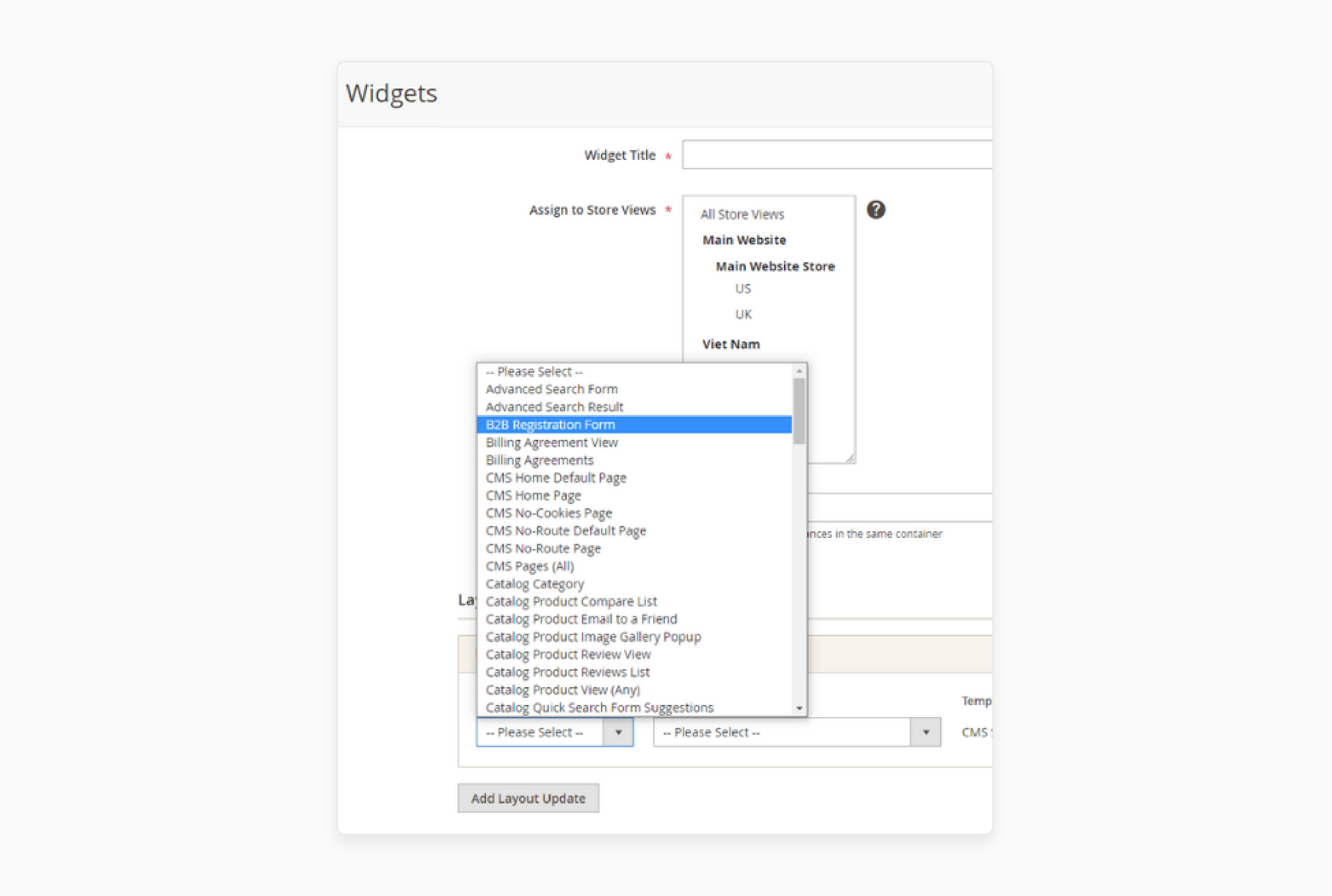 Creating widgets for B2B forms