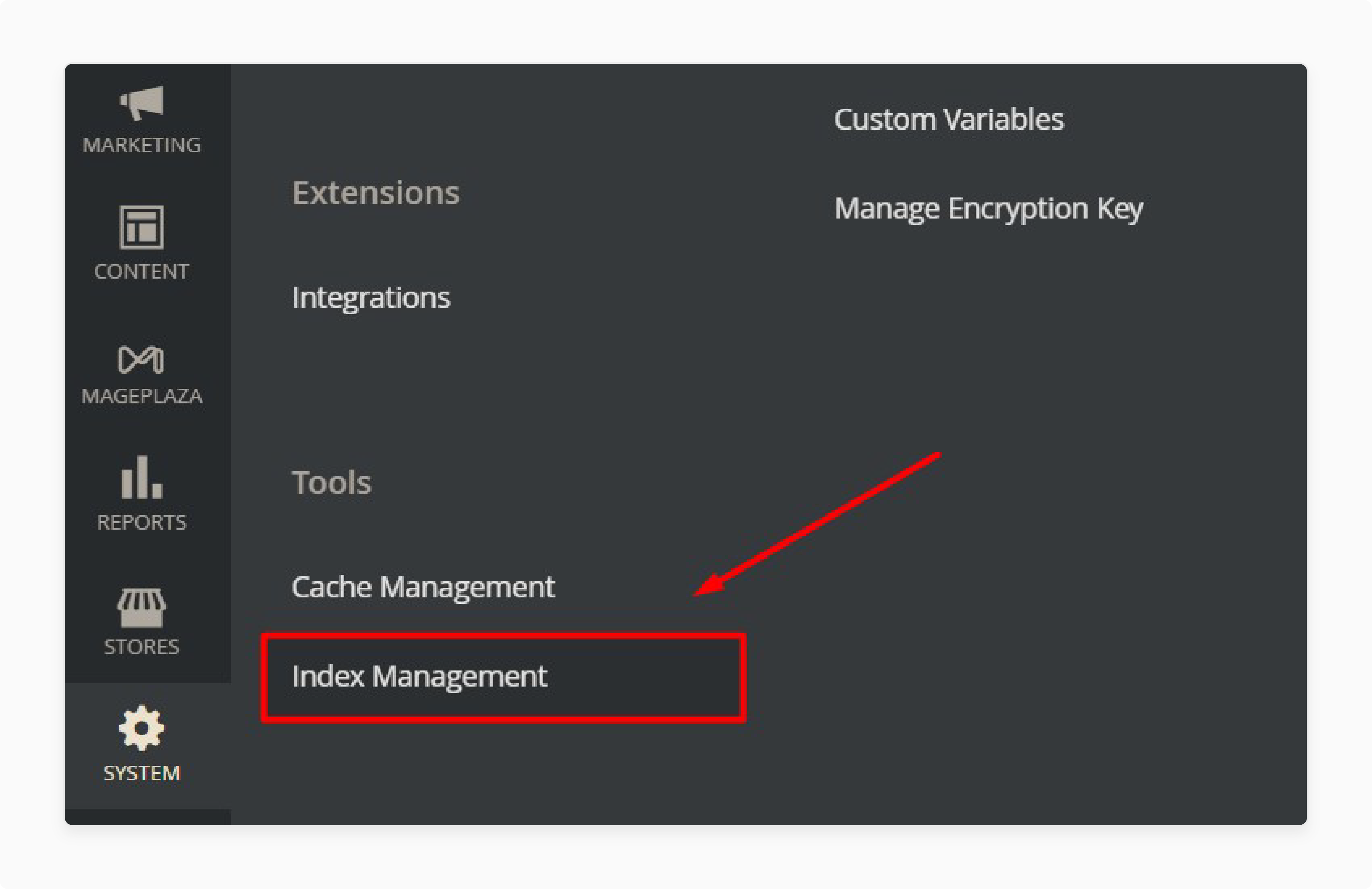 Access Index Control in Magento 2 admin to reindex data