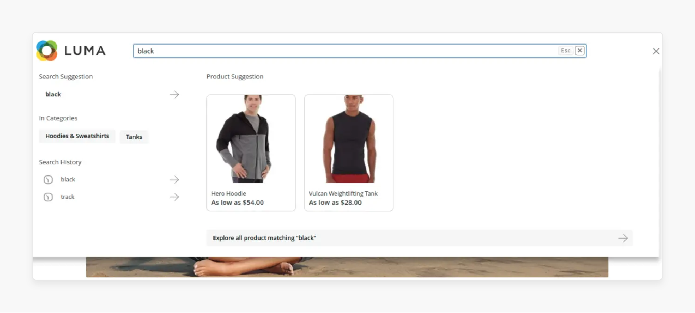 customizing storefront view layout in adobe commerce