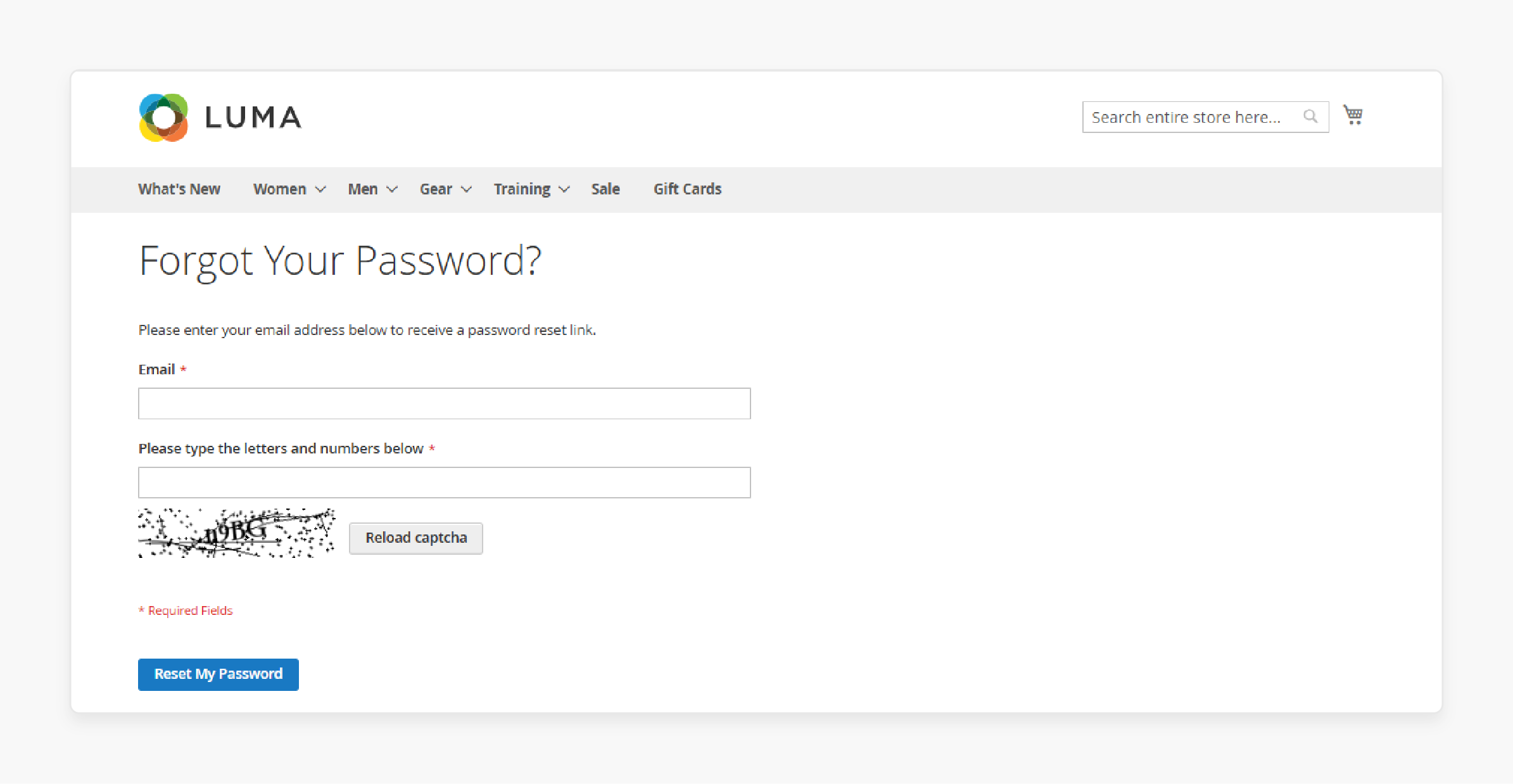 Start password reset from Magento login page