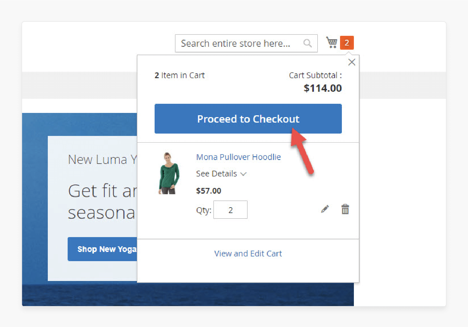 Magento 2 checkout page with payment options