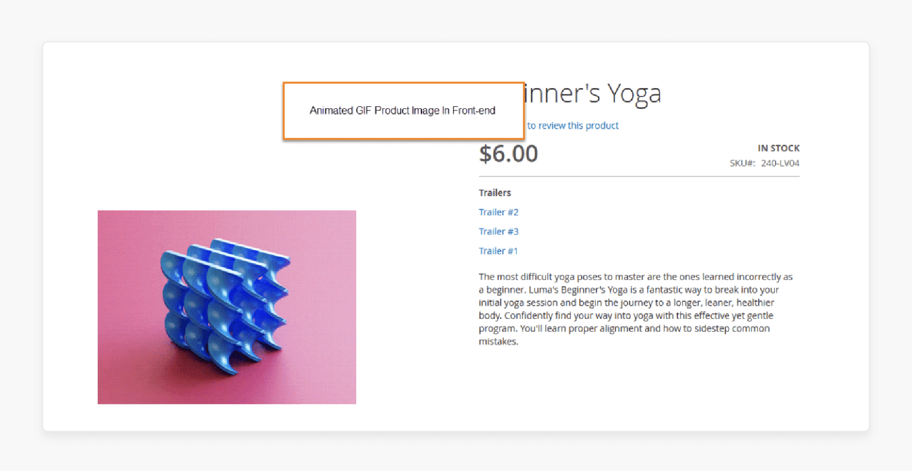 animated gif product image displayed on the magento 2 product page frontend