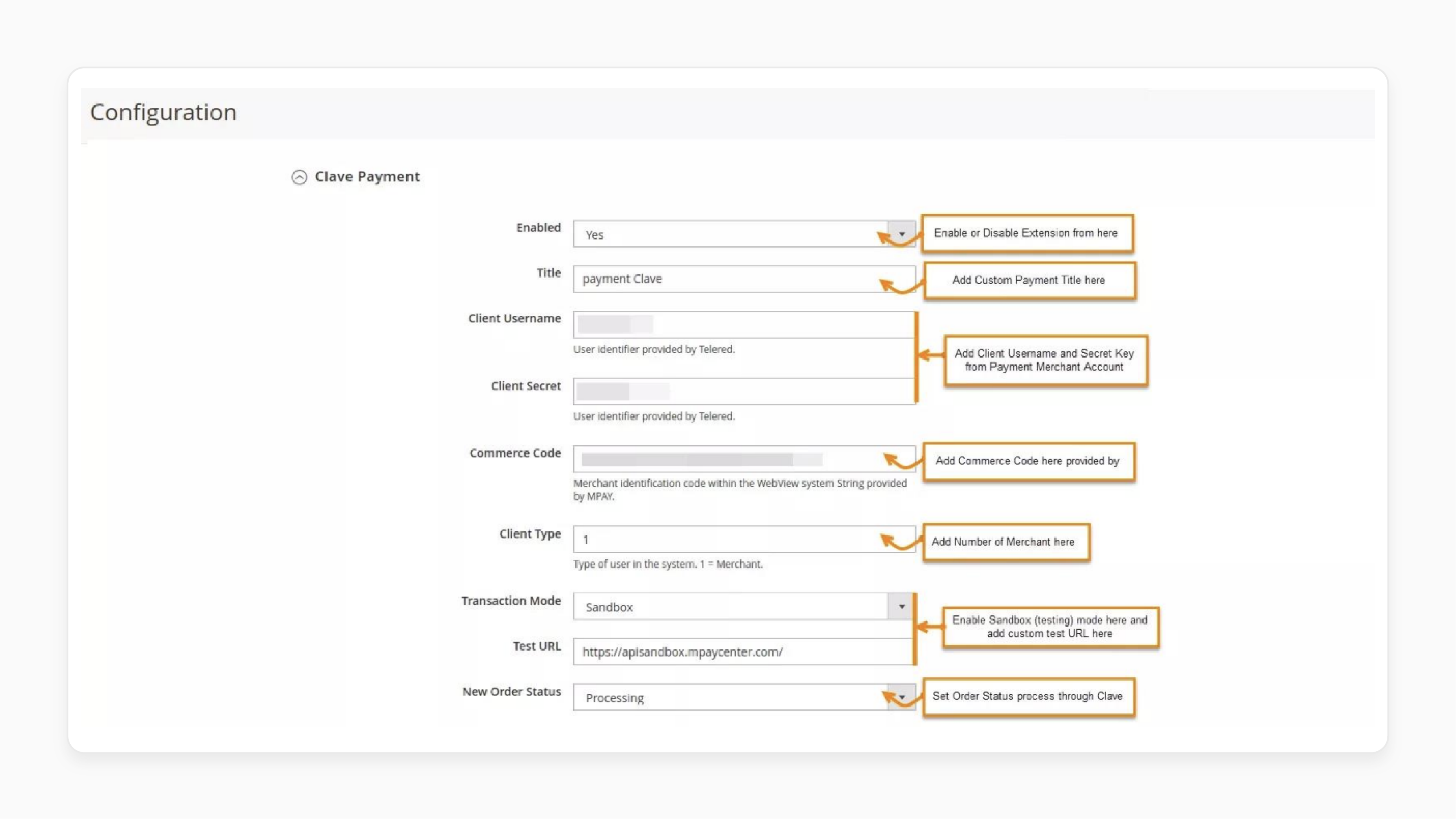 Activate Clave Payment in Magento 2