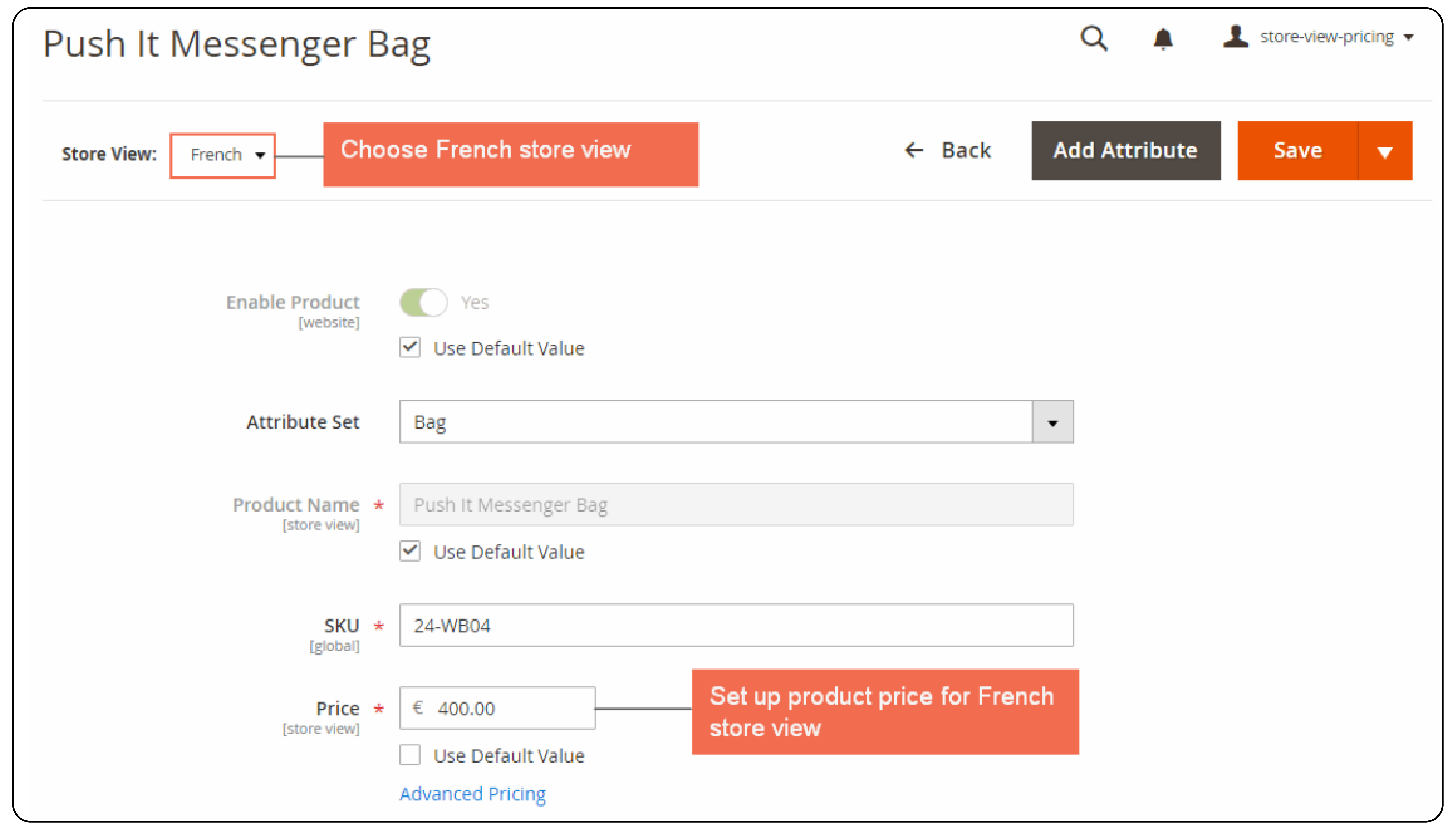 French Store View Magento 2 Multiple Store View Pricing Example