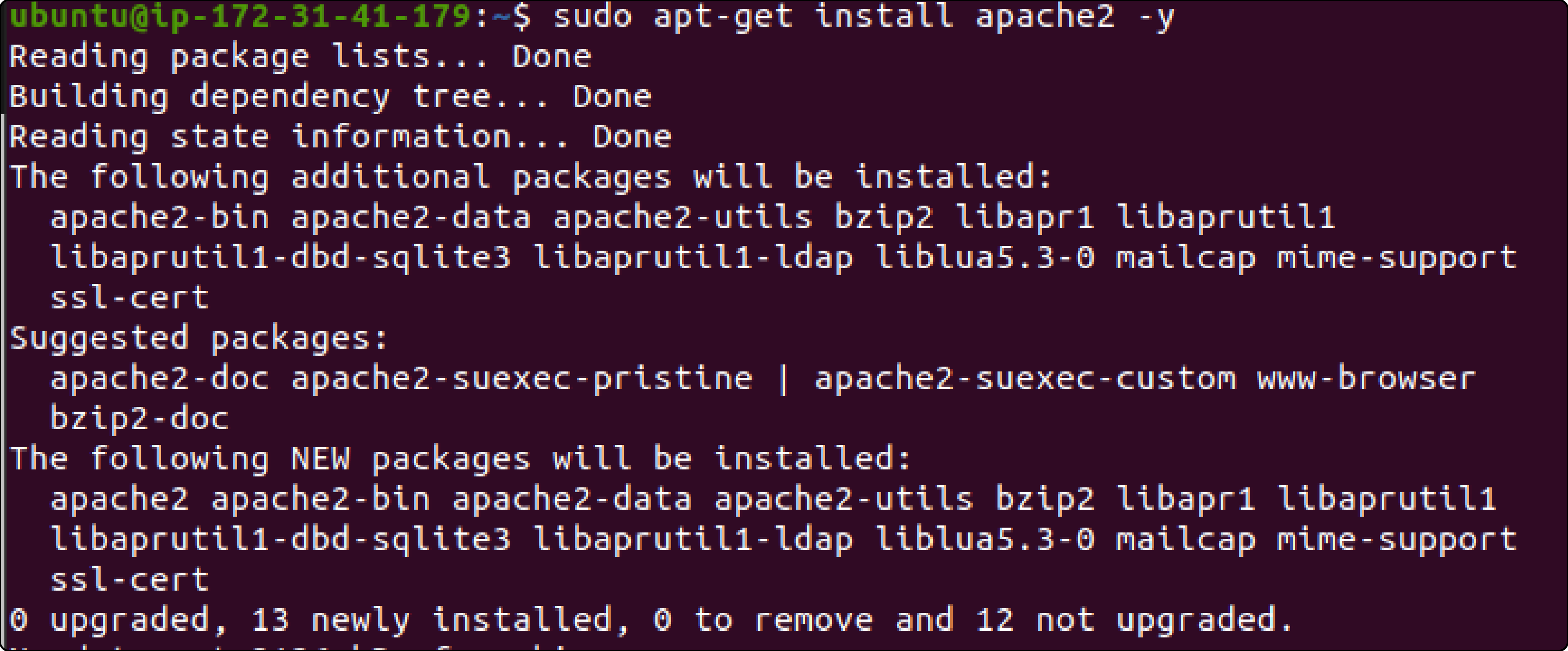 Step 1-Install Apache2

