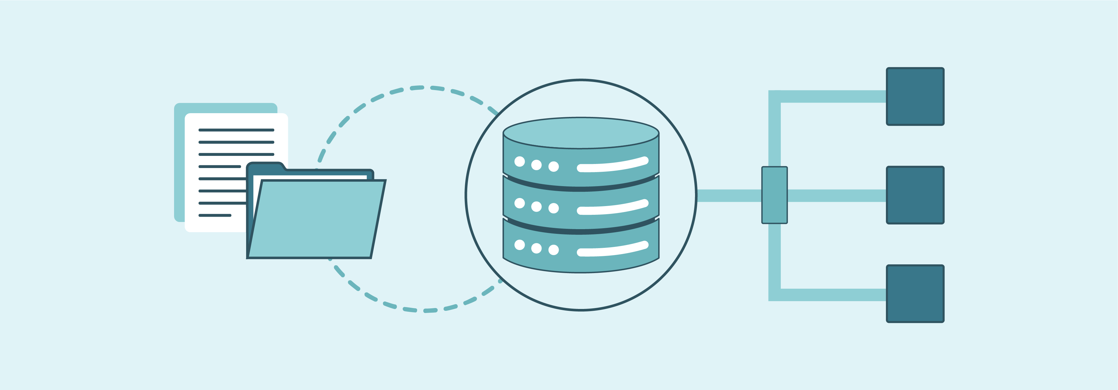 Data Mapping and Transformation