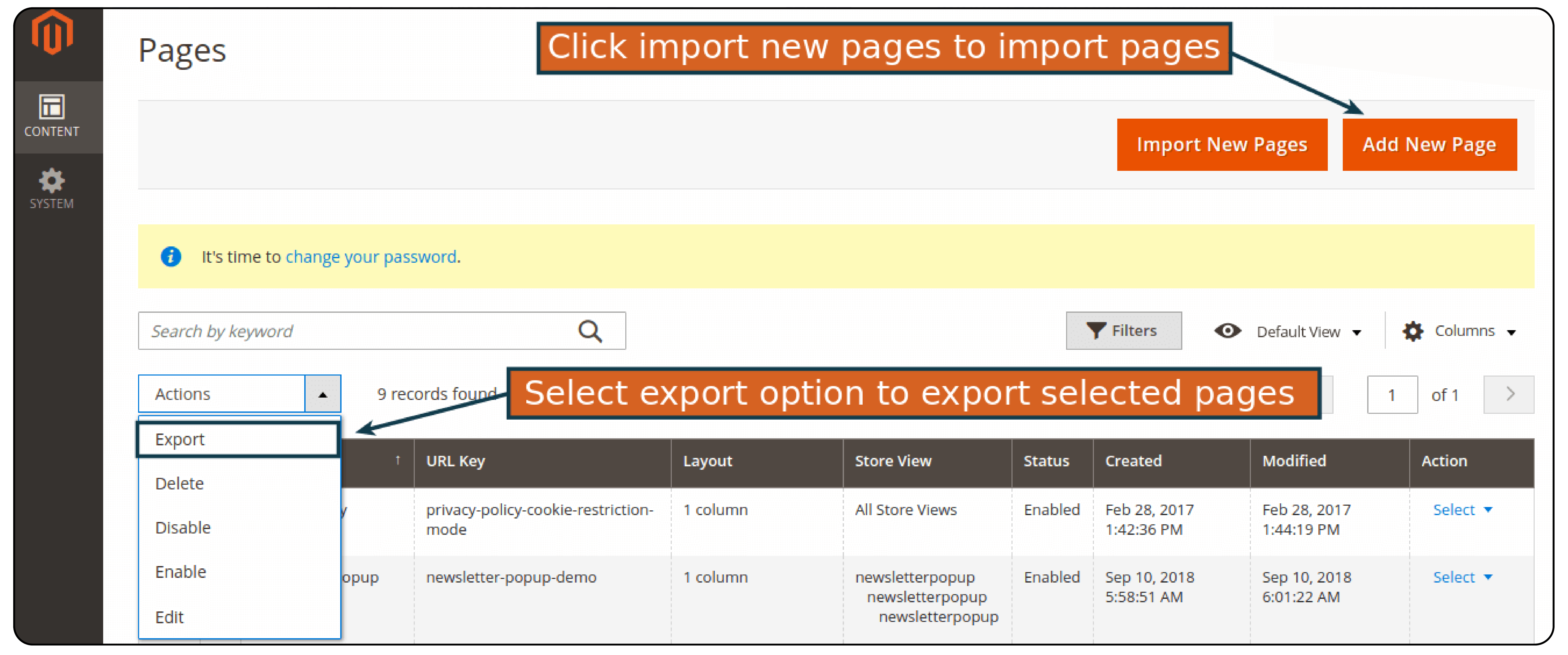 Export CMS Data in Magento 2 CMS Migration Extension