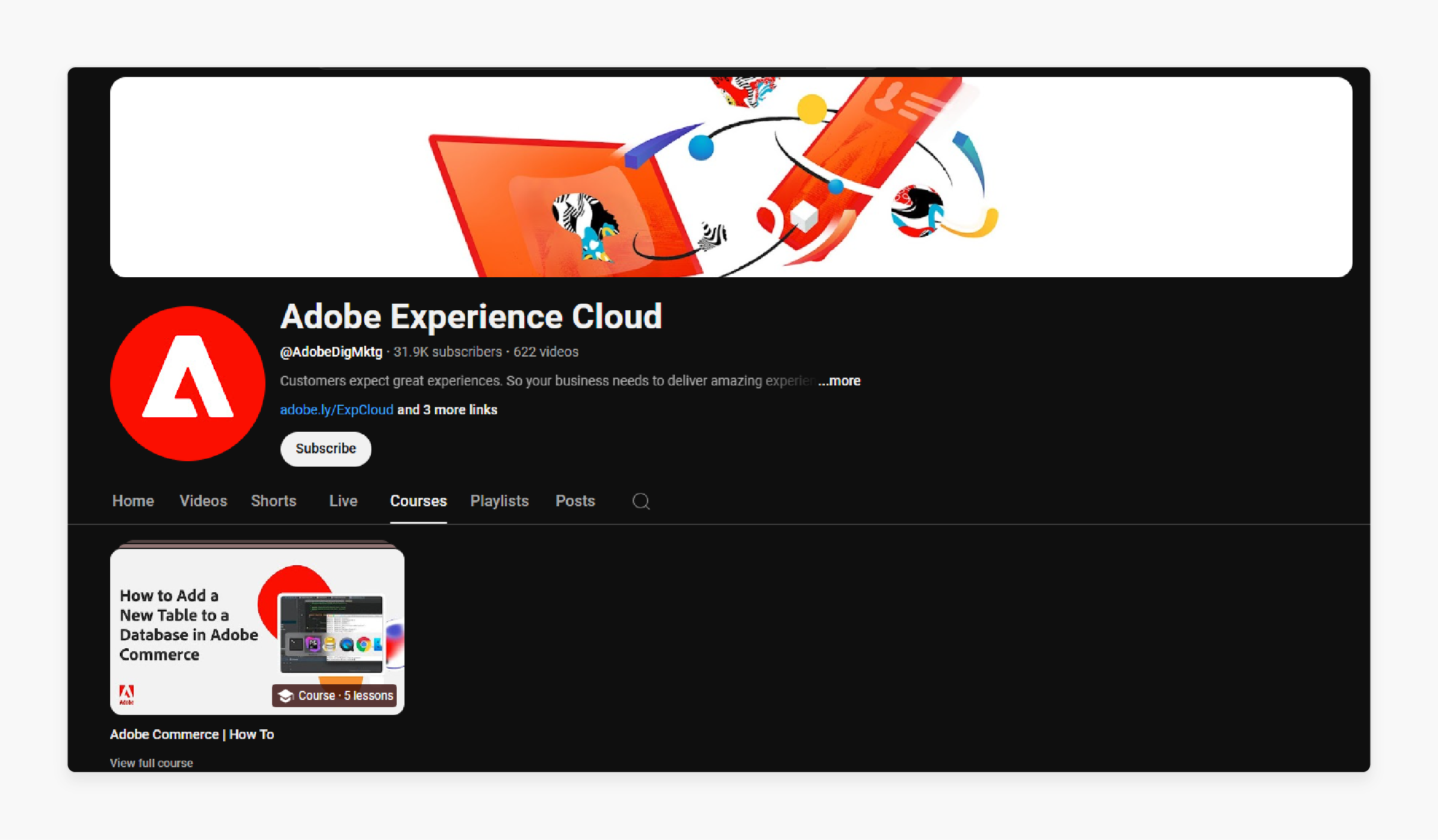 Adobe Experience Cloud YT for Magento 2 Course Free