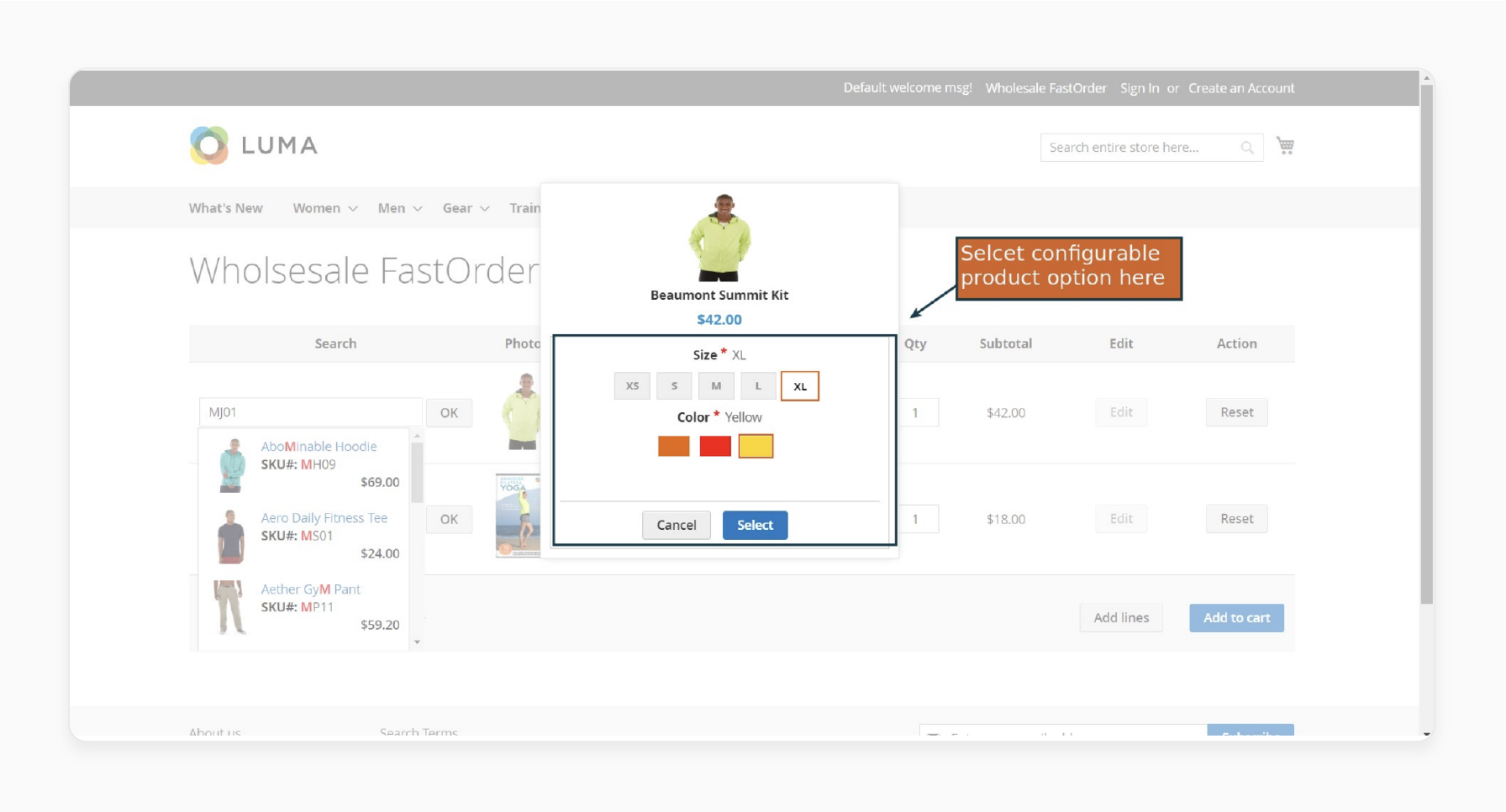 Choose the product color in the Magento 2 Wholesale Fast Order extension